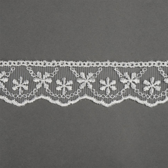 Кружево на сетке KRUZHEVO арт.TR.3820 шир.25мм цв.02 молочный уп.9м