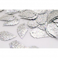 Пайетки россыпью арт.TBY-FLK628 13х24мм цв.50112 серебряный уп.50г