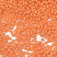 Бисер Preciosa 10/0 арт. SDC цв.16189 / 331-19001 уп.50г