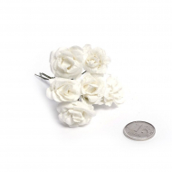 Цветы бумажные MAGIC 4 HOBBY арт.MG-PF29.5 цв.белый уп.6шт