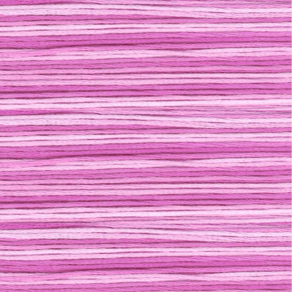 164911_Мулине Cosmo меланж Seasons 8060