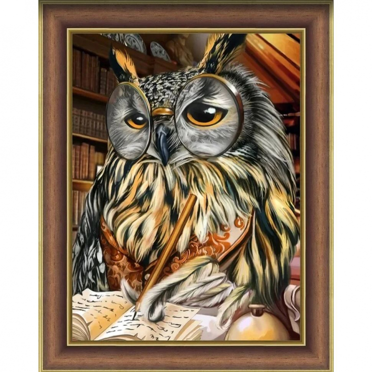 Набор для изготовления картин АЛМАЗНАЯ ЖИВОПИСЬ арт.АЖ.1737 «Ученый филин» 30х40 см