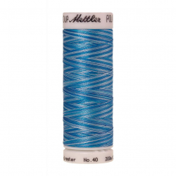 22820_Нить вышивальная мультиколор POLY SHEEN MULTI, 200 м