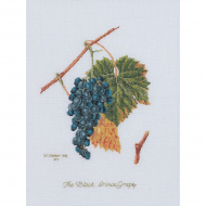 Набор для вышивания THEA GOUVERNEUR арт.2086 Виноград 26х35 см