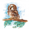 Кристальная мозаика ФРЕЯ арт.ALBP-290 Совенок на ветке (постер) 30х30 см