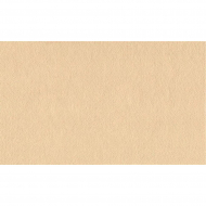 Фетр листовой жесткий 3мм 20х30см арт.КЛ.26975 100% ПЭ уп.2 шт цв.песочный