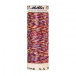 22843_Нить вышивальная мультиколор POLY SHEEN MULTI, 200 м