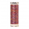 22843_Нить вышивальная мультиколор POLY SHEEN MULTI, 200 м