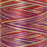 22843_Нить вышивальная мультиколор POLY SHEEN MULTI, 200 м