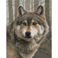 Набор для вышивания мулине НИТЕКС арт.А-0030 Кузьма 30х38 см