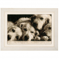 Набор для вышивания VERVACO арт.PN-0154541 Лабрадоры 33х23 см