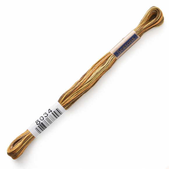 164885_Мулине Cosmo меланж Seasons 8034