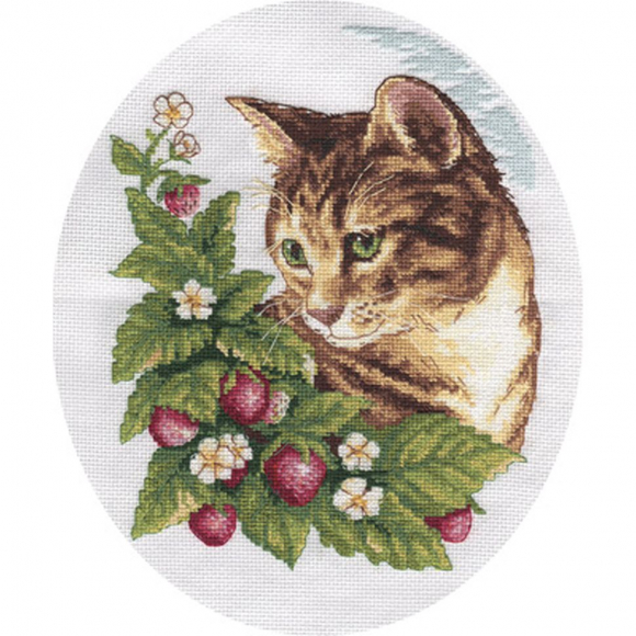 Набор для вышивания KLART арт. 8-174 Кошка в клубнике 20х24 см