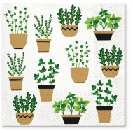 137212_Салфетки трехслойные для декупажа, коллекция "Lunch"  TETЕ a TETE "Растения в горшках"