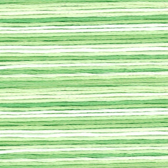 164864_Мулине Cosmo меланж Seasons 8013