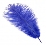 Перо страуса арт.S-300-9 30-35 см цв.синий уп.5 шт.