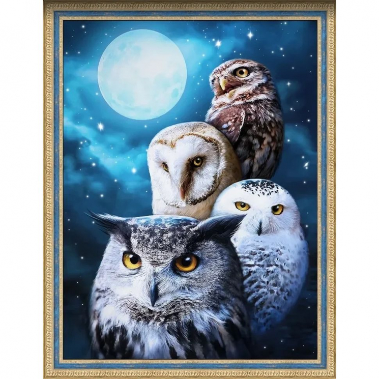 Набор для изготовления картин АЛМАЗНАЯ ЖИВОПИСЬ арт.АЖ.1738 «Ночные совы» 30х40 см