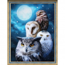 Набор для изготовления картин АЛМАЗНАЯ ЖИВОПИСЬ арт.АЖ.1738 «Ночные совы» 30х40 см