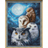 Набор для изготовления картин АЛМАЗНАЯ ЖИВОПИСЬ арт.АЖ.1738 «Ночные совы» 30х40 см