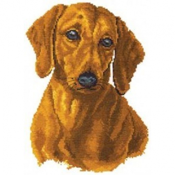 Набор для вышивания АЛИСА арт.1-01 Такса 18х25 см Набор для вышивания АЛИСА арт.1-01 Такса 18х25 см