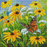 Набор Белоснежка для изготовления картин со стразами на подрамнике арт.БЛ.360-ST-S Цветочная поляна 30х30 см