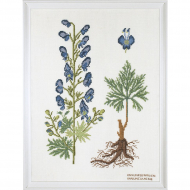 186796_Набор для вышивания: "Лютик"