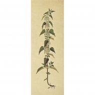 186802_Набор для вышивания: "Крапива"