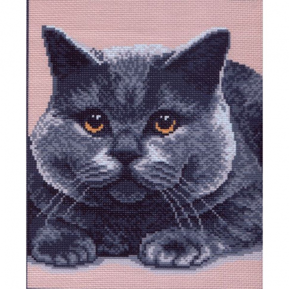 Рисунок на канве МАТРЕНИН ПОСАД арт.28х37 - 0376-1 Британец