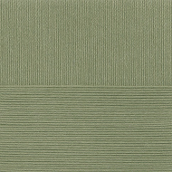 Пряжа для вязания ПЕХ Детский каприз трикотажный (50% мериносовая шерсть, 50% фибра) 5х50г/400м цв.494 св.хаки