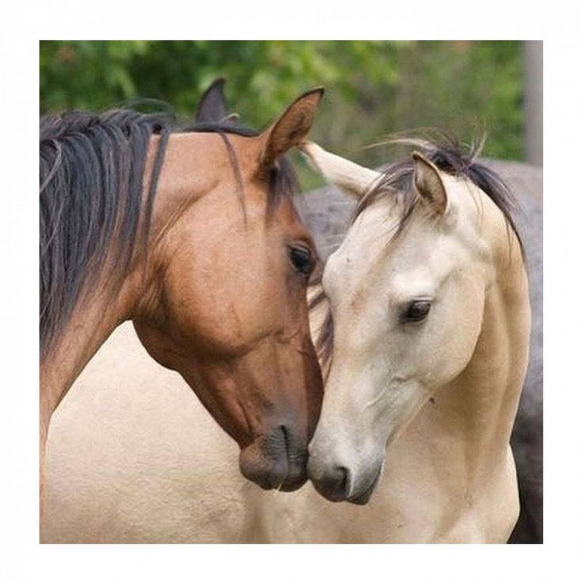 Картины по номерам Molly арт.KH0713 Знакомство (20 цветов) 30х30 см Картины по номерам Molly арт.KH0713 Знакомство (20 цветов) 30х30 см