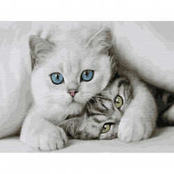 Картина по номерам с цветной схемой на холсте Molly арт.KK0684 Милые котята 30х40 см