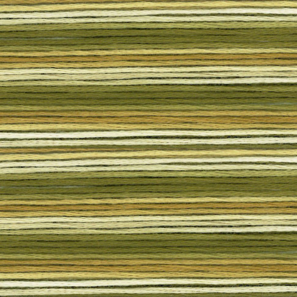 164886_Мулине Cosmo меланж Seasons 8035