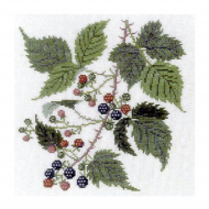 186812_Набор для вышивания: "Ежевика"