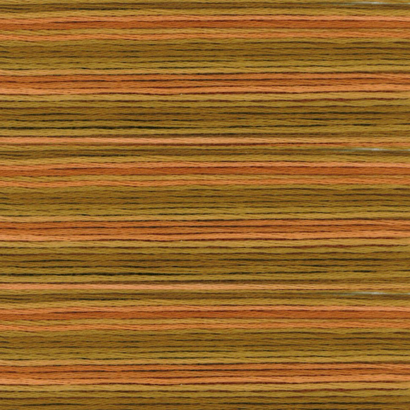 164899_Мулине Cosmo меланж Seasons 8048