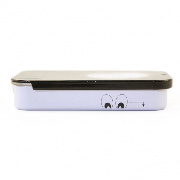 181414_Булавки-гвоздики в жестянной коробочке