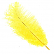Перо страуса арт.S-300-8 30-35 см цв.желтый уп.5 шт.