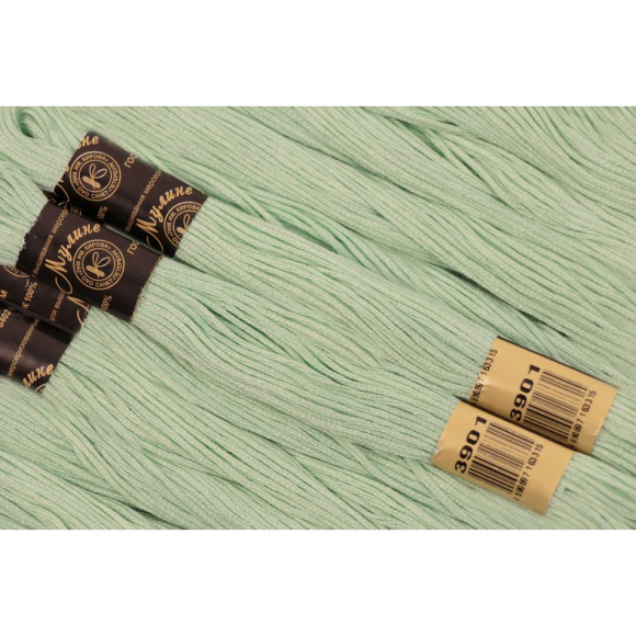 Нитки мулине цв.3901 св.зеленый 12х10м С-Пб Нитки мулине цв.3901 св.зеленый 12х10м С-Пб