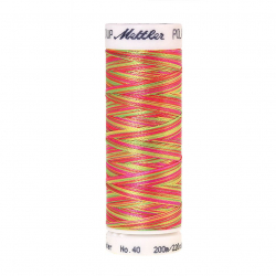 22807_Нить вышивальная мультиколор POLY SHEEN MULTI, 200 м