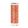 22807_Нить вышивальная мультиколор POLY SHEEN MULTI, 200 м