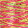 22807_Нить вышивальная мультиколор POLY SHEEN MULTI, 200 м