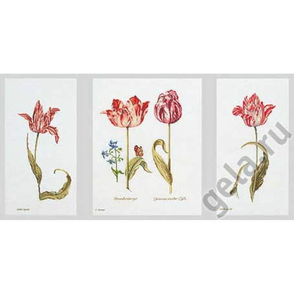 Набор для вышивания THEA GOUVERNEUR арт.2039 Тюльпаны 84х42 см Набор для вышивания THEA GOUVERNEUR арт.2039 Тюльпаны 84х42 см