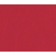 60673_Бумага рисовая однотонная