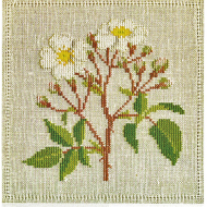 186837_Набор для вышивания: "Роза"