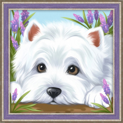 Набор для изготовления картин АЛМАЗНАЯ ЖИВОПИСЬ арт.АЖ.1639 Прятки в клевере 15х15 см