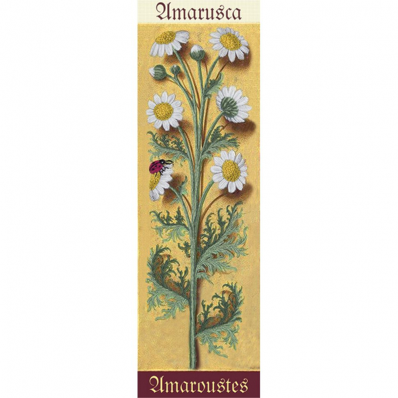 Набор для вышивания PANNA Живая картина арт. JK-2119 Ботаника. Ромашка 7х24,5 см