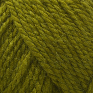 Пряжа для вязания ПЕХ Осенняя (25% шерсть, 75% ПАН) 5х200г/150м цв.119 горох