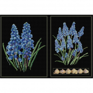 38987_Набор для вышивания "Мускари", канва аида (черная) 18 ct