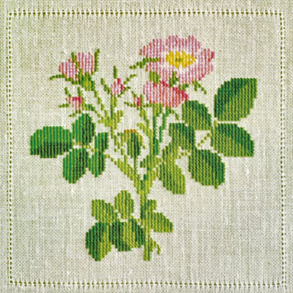 186843_Набор для вышивания: "Роза"