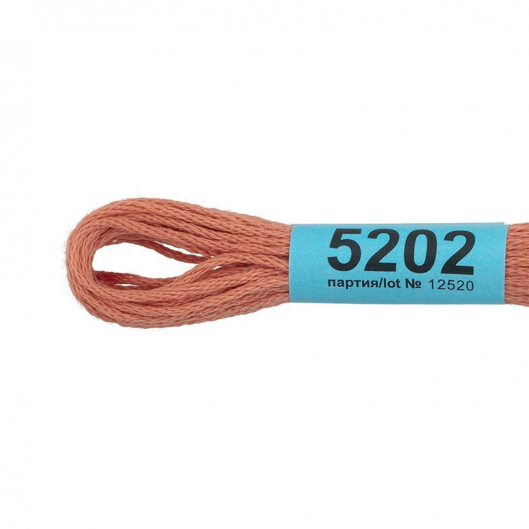 Нитки для вышивания Gamma мулине (3173-6115) 100% хлопок 24 x 8 м цв.5202 св.коричневый