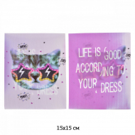 Термоаппликации 3D (интерактивные) арт.TBY.3D12 Cat 15х15см, уп.5шт